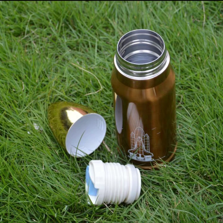 SG - Bình giữ nhiệt inox 304 500ml cute 3d