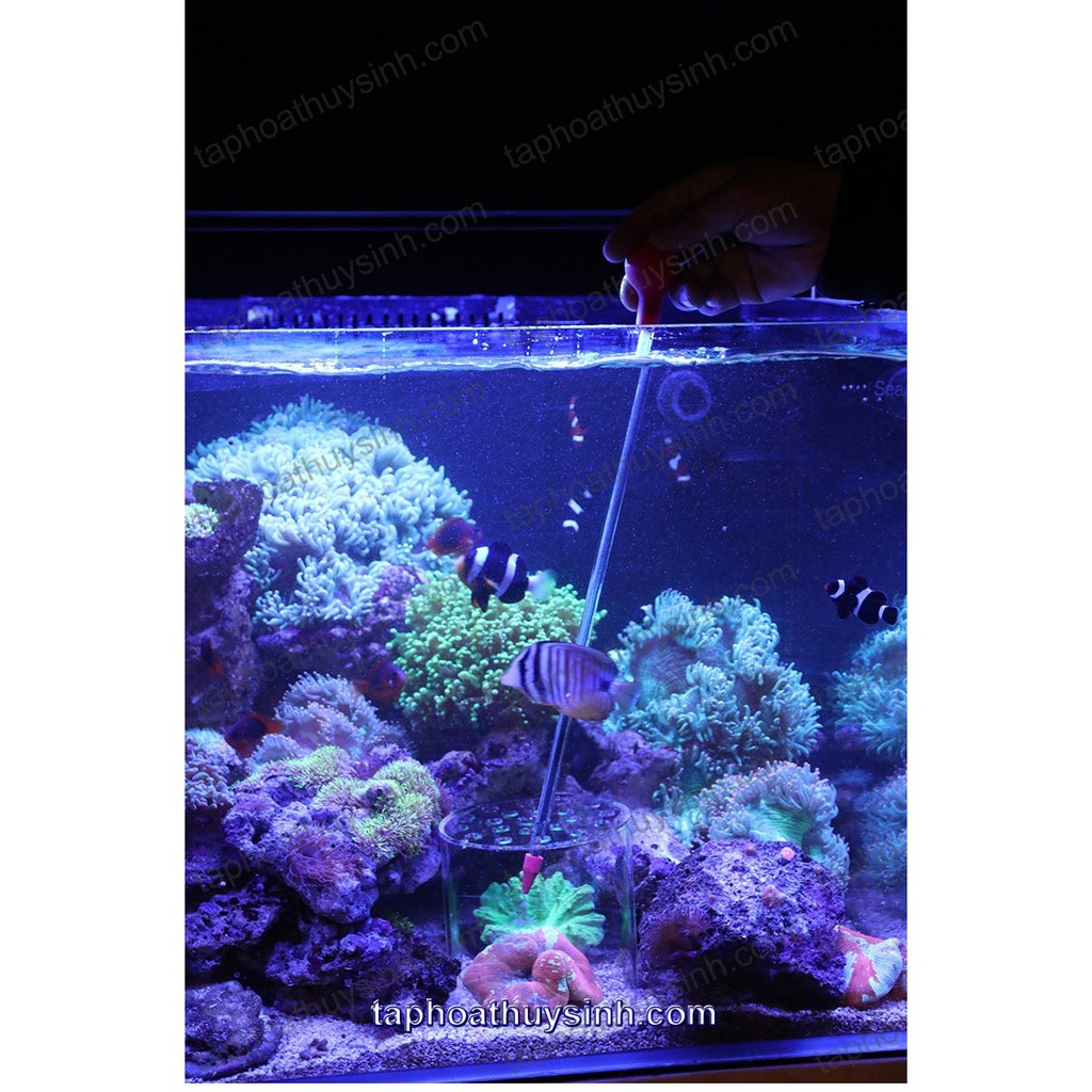 HỘP CHỤP THỨC ĂN và BỘ ỐNG DÀI CHO CÁ VÀ SAN HÔ ĂN Red Starfish 35cm + 55cm