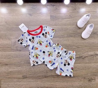 Combo 4bộ cotton lỗ