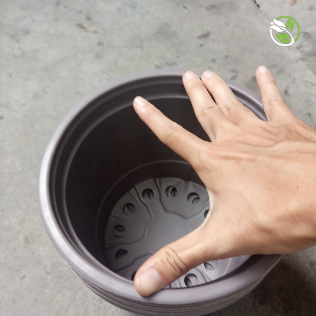 Chậu nhựa mềm Đường kính 20x15cm- combo 10 cái