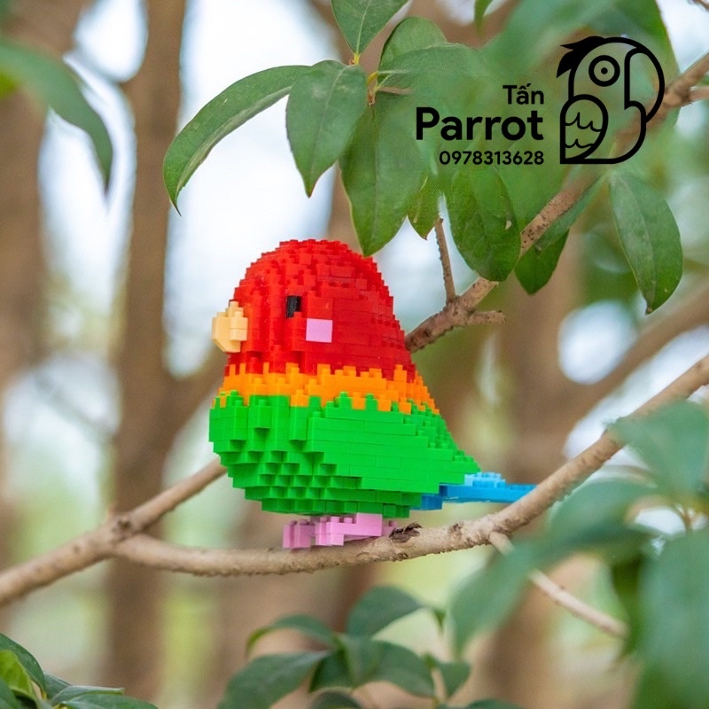 Lắp ráp Lego hình vẹt cao cấp