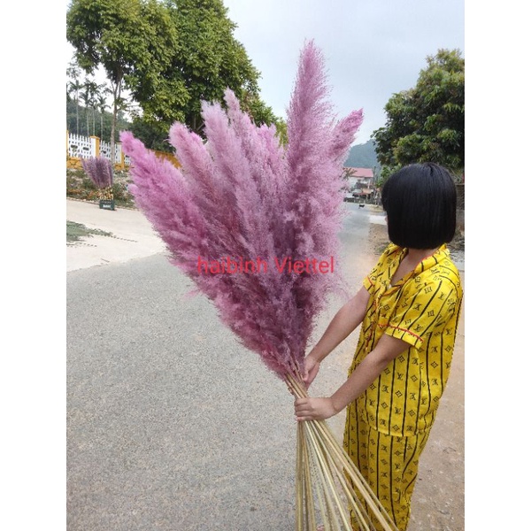 bông lau xù loại to nhuộm màu
