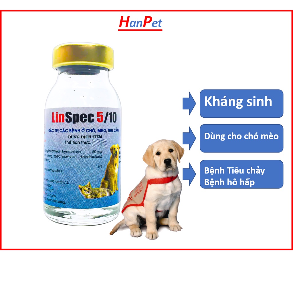 [Mã PET50K giảm Giảm 10% - Tối đa 50K đơn từ 250K] Lọ tiêm 5ml Kháng sinh chó mèo - đi ỉa kiết lị chó dạng chích