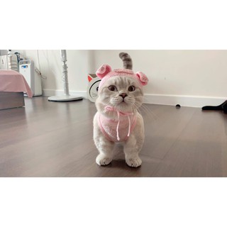 Nón len cho thú cưng NÓN HEO HỒNG handmade cho PET chó, mèo,. thỏ, chuột ú.....