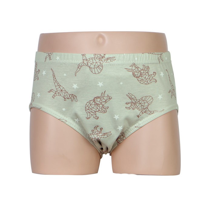 Hộp 5 quần lót bé trai Hàn Quốc 100% cotton mẫu Máy Bay-Khủng Long