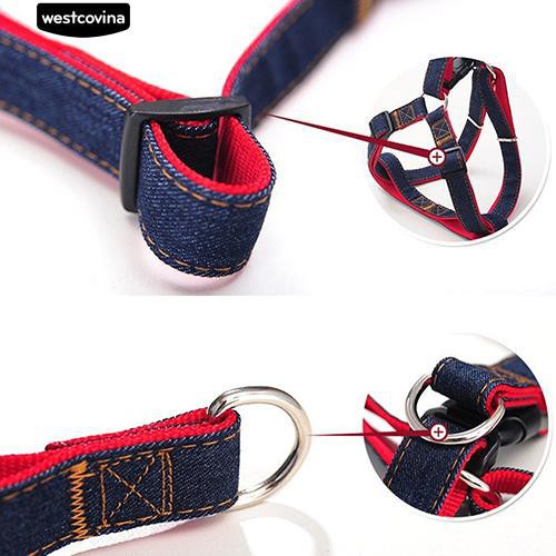 Dây Dắt Chó Đi Dạo Tiện Lợi