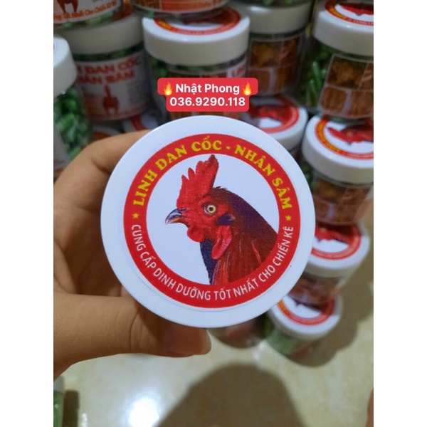 LINH ĐAN CÓC NHÂN SÂM -