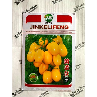 HẠT GIỐNG CÀ CHUA CHÙM NOVA VÀNG ĐÀI