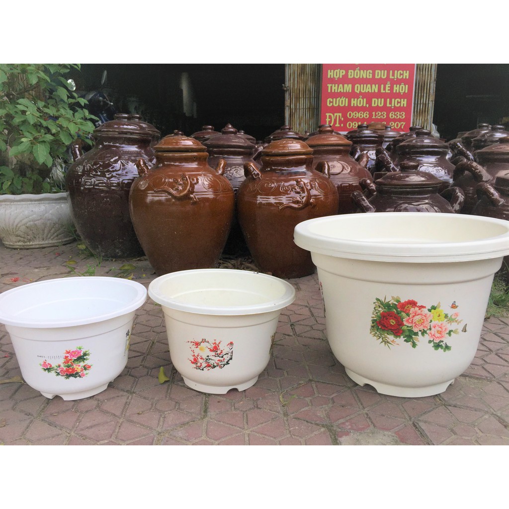 Chậu nhựa trồng cây màu trắng in hoa văn xung quanh, Chậu trồng hoa để ban công trong nhà, kích thước to rộng nhiều size