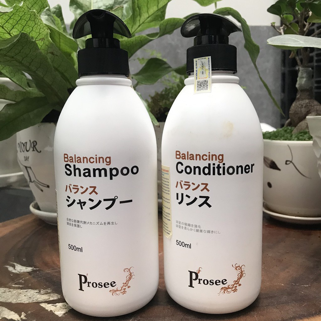 Cặp Dầu gội + Dầu xả dành cho tóc gàu chống dầu, chống rụng tóc Prosee Balancing Shampoo 500ml