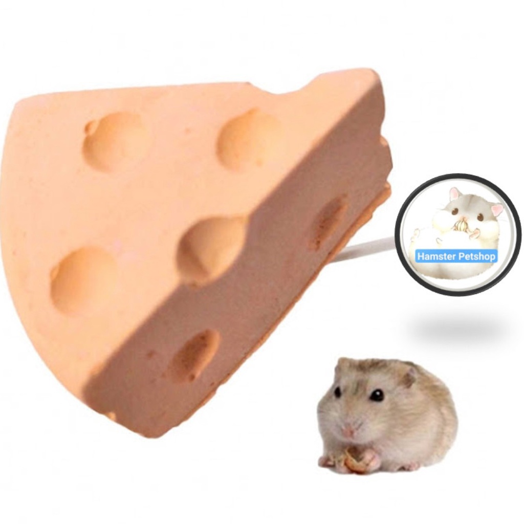 Đá mài răng trái cây cho Hamster , sóc , bọ