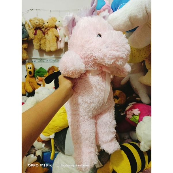 Teddy gấu bông dễ thương size 40_50cm