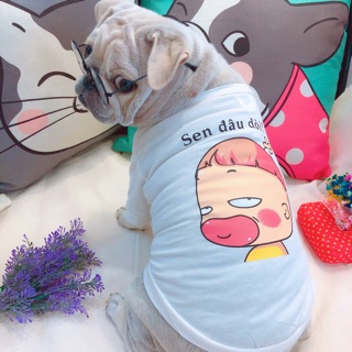 Áo thun chó mèo Big Size Sen đâu dòi có tay, Quần Áo chó mèo