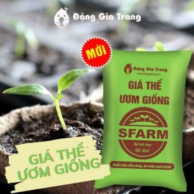 Giá thể đất ươm giống SFARM-1 gói 6 kg