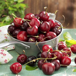 Hạt giống cherry