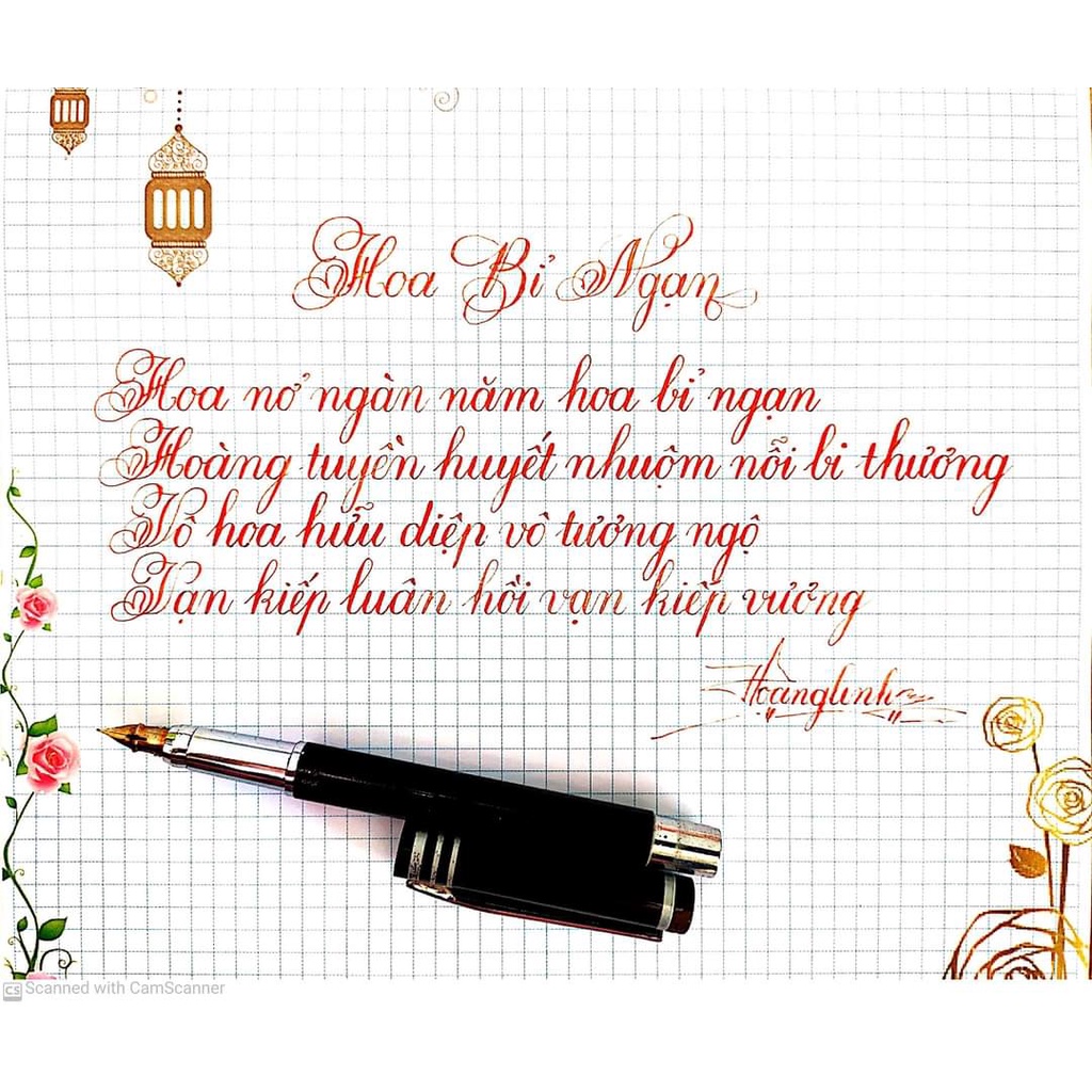 Bút máy luyện chữ đẹp nét thanh đậm ngòi Thép Bình Nguyên 6100