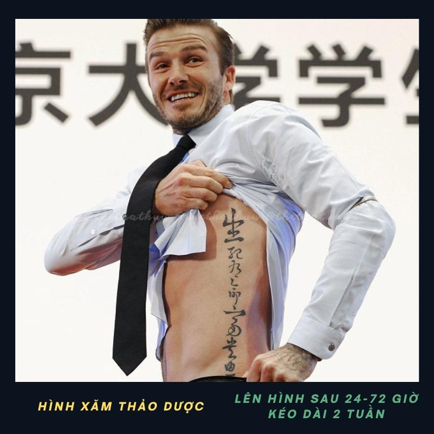 Hình Xăm Tạm Thời Thảo Dược 15 Ngày Không Thấm Nước Mồ Hôi Thethathuu S045