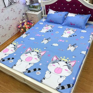 Bộ ga gối poly cotton mèo thần tài m2 m6 m8 2m2