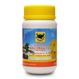 HVP ĐẦU TRÂU LỌ 100GR
