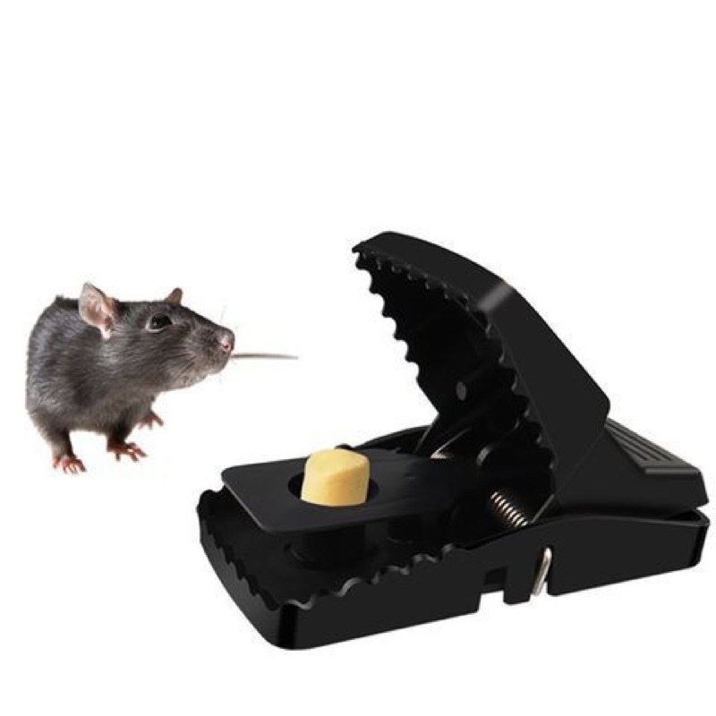 bẫy chuột thông minh