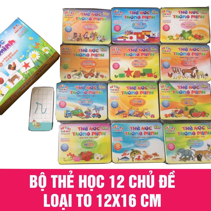 [HỘP] THẺ HỌC Flash Card 12 CHỦ ĐỀ VỚI 261 THẺ HỌC KÍCH THƯỚC TO 12X16 CM