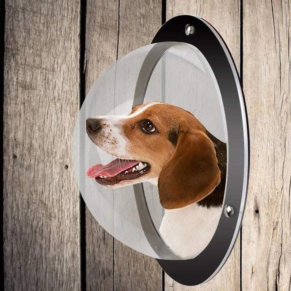 Hàng Rào Chắn Cửa Sổ Bằng Acrylic Trong Suốt Chống Chó Mèo 3