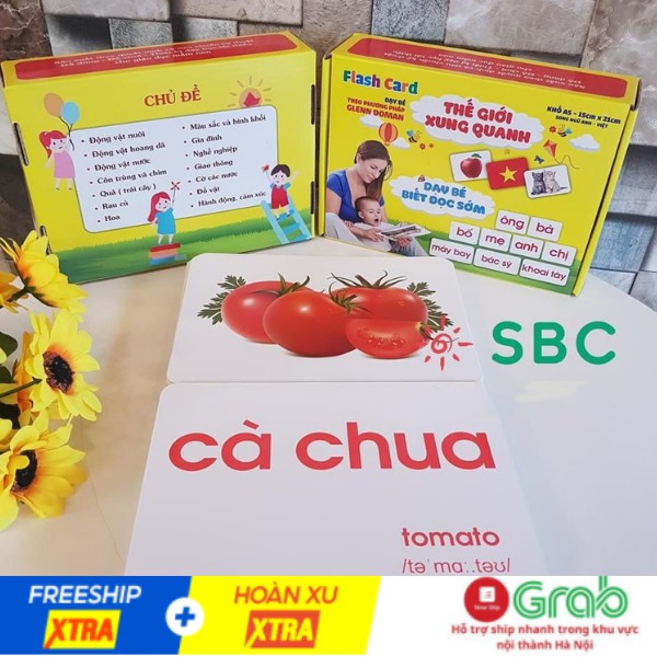 Bộ thẻ học Glenn Doman kt TO A5 - 17x21cm dạy bé nhận biết về Thế giới xung quanh, kết hợp dạy Từ vựng