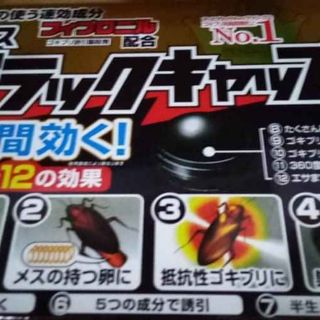 Vỉ 12 viên Thuốc diệt gián Nhật Bản