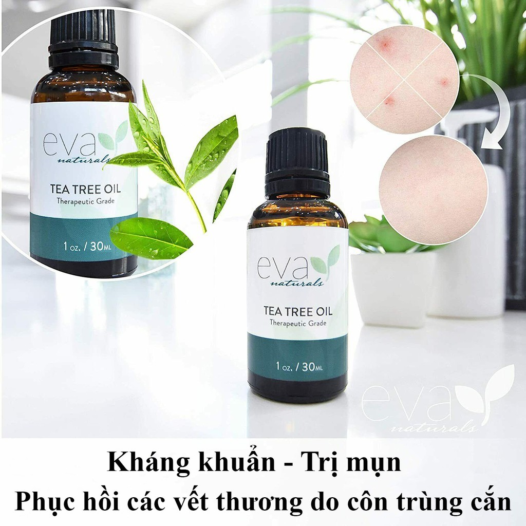 Tinh Dầu Tràm Trà ( 30ml ) Tea Tree Oil Eva Naturals Giảm Mụn Viêm, Sưng