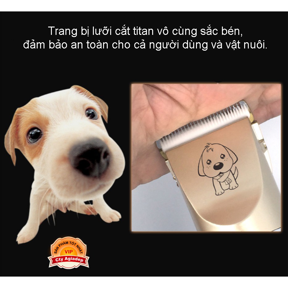 Tông đơ thú cưng, tongdo cạo lông chó mèo FULL phụ kiện cắt tỉa Cao cấp Châu Âu PUPPY