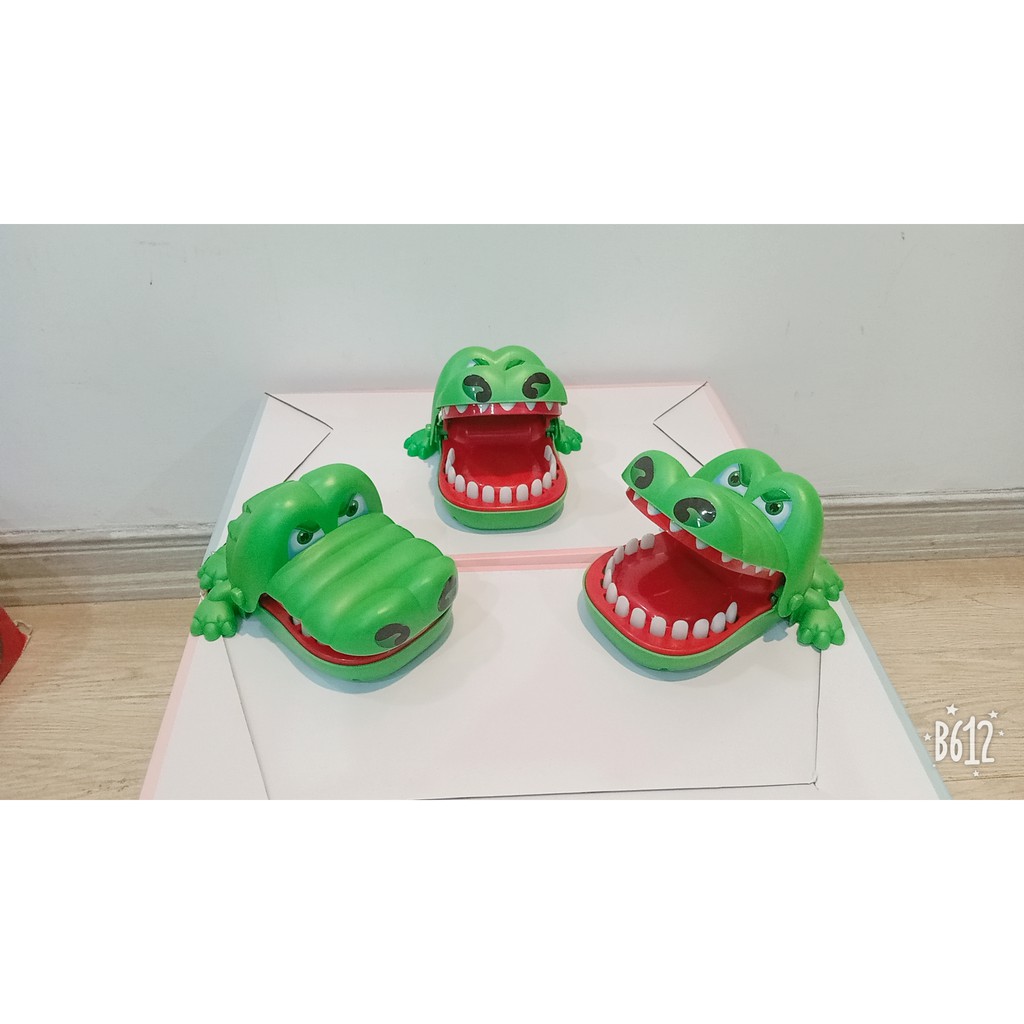 Cá sấu cắn tay loại to