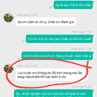 (CÓ FEEDBACK KH) Bông tai tim dáng dài bạc ý 925