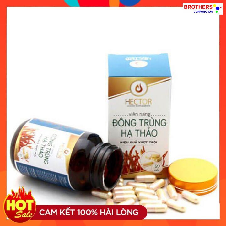 [Chính hãng] Viên nang đông trùng hạ thảo Hector 100% (Lọ 30 viên x 250 mg)