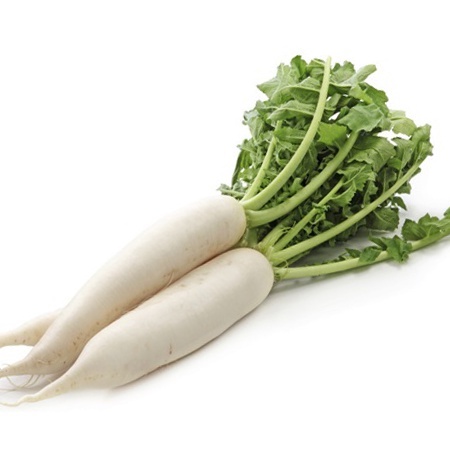 Hạt giống củ cải trắng dễ lên, dễ trồng và ăn ngon 50gr