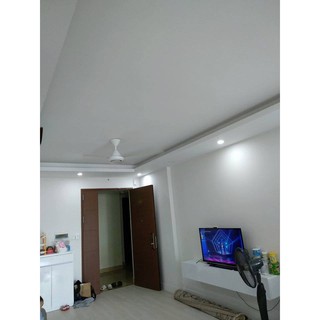 Quạt trần Panasonic F-60MZ2