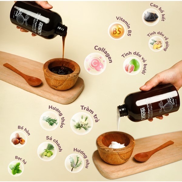 Dầu gội và xả Collagen Bưởi Gừng Ohesi giảm rụng tóc 330ml/chai