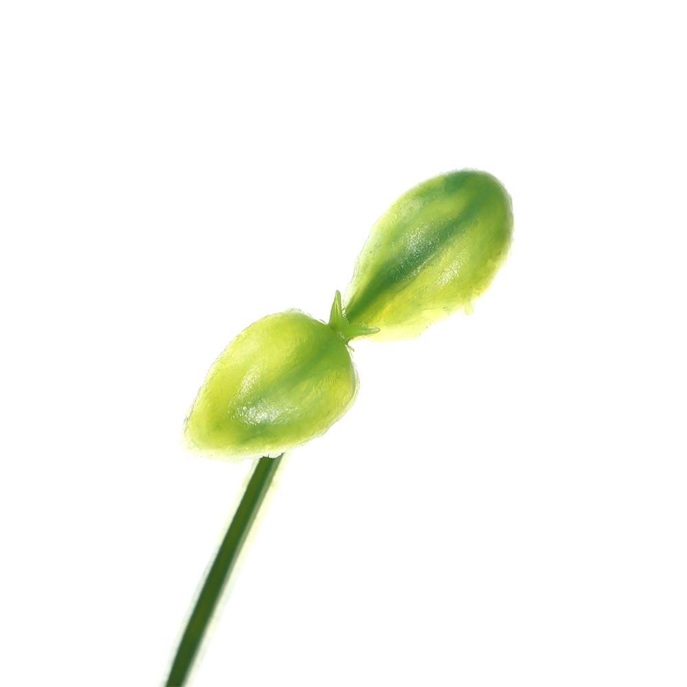 JUNE Set 10 Kẹp Tăm Tạo Kiểu Tóc Chuyên Dụng