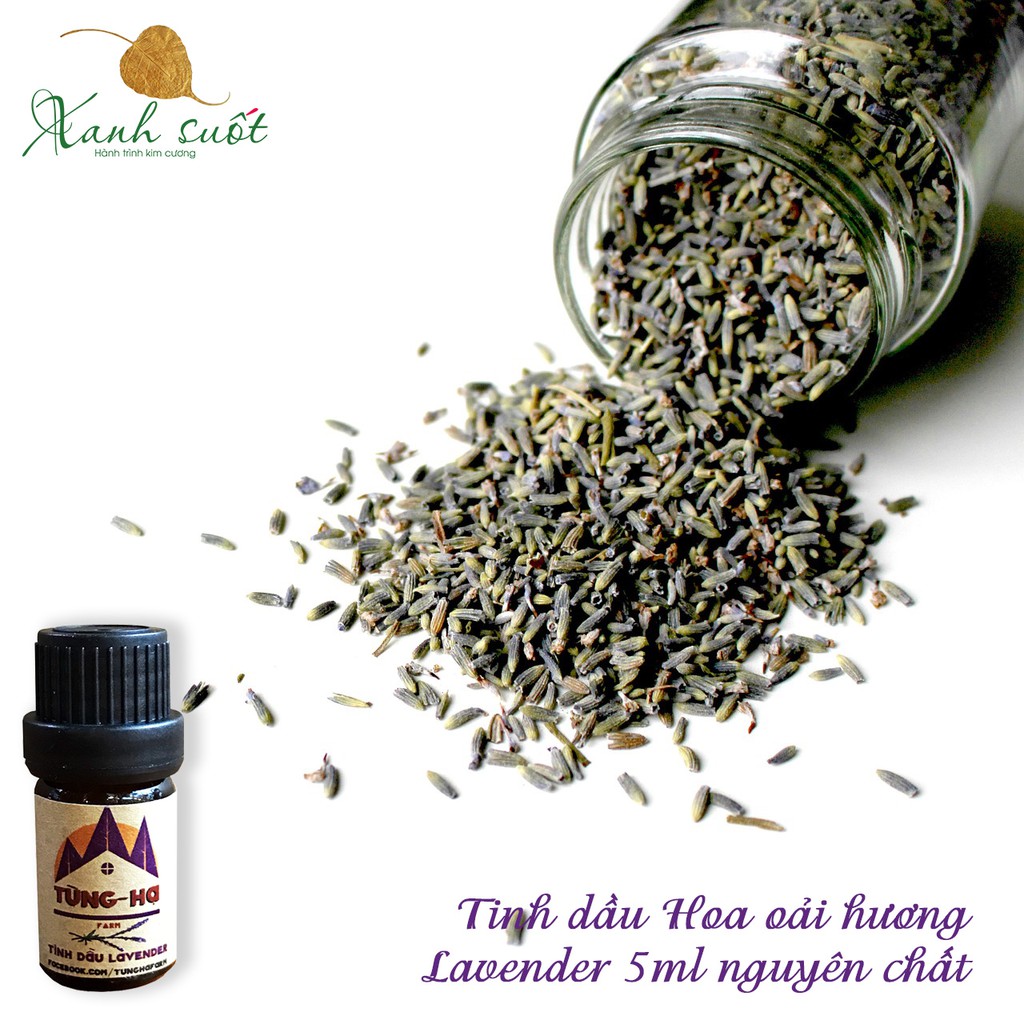 Tinh dầu Lavender nguyên chất 5ml - Tinh dầu hoa Oải hương (Tùng Hạ Farm)