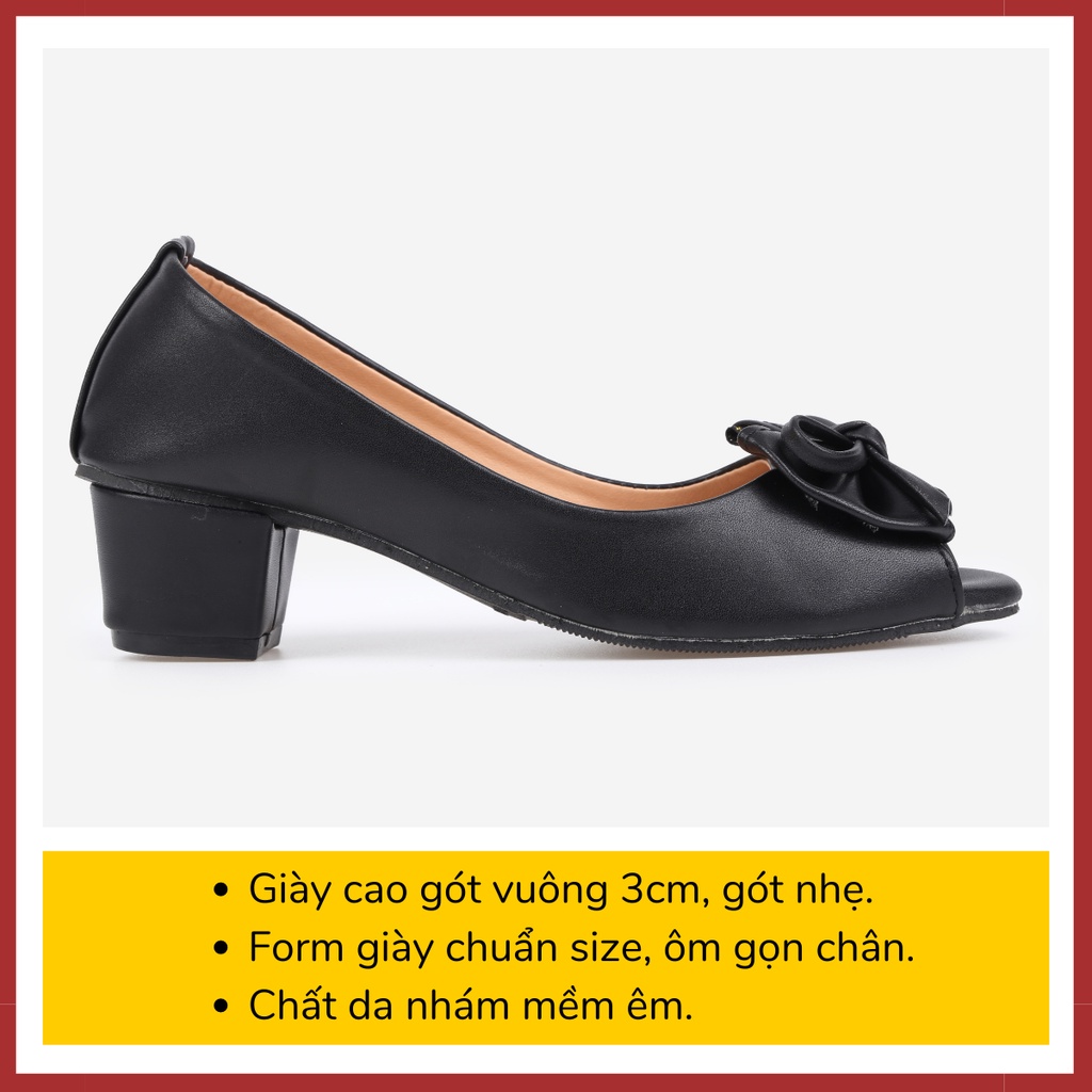 Giày Cao Gót Đế Vuông Nữ Giày Búp Bê Big Size 3 Phân Hoàng Thanh G1