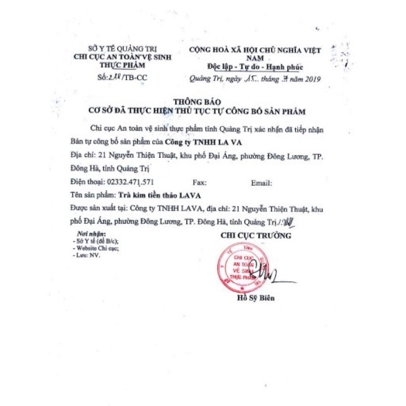 Trà Kim Tiền Thảo Lava