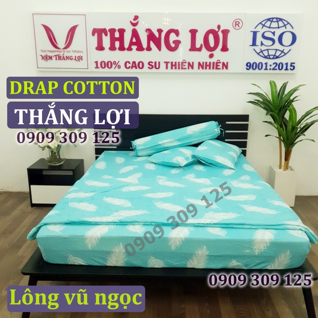 (RẺ VÔ ĐỊCH) bộ drap cotton Thắng Lợi, ga giường 100% cao cấp LÔNG VŨ NGỌC