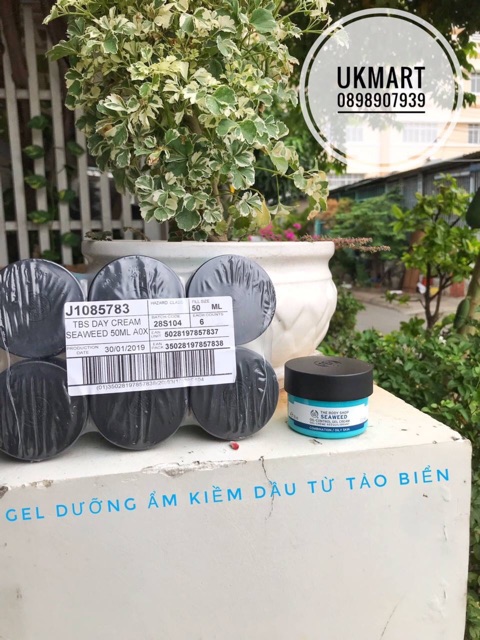 Gel Kiểm Soát Bã Nhờn, Cung Cấp Dưỡng Chất Suốt Cả Ngày TheBodyShop Seaweed Oil-Control Gel Cream 50ml | BigBuy360 - bigbuy360.vn