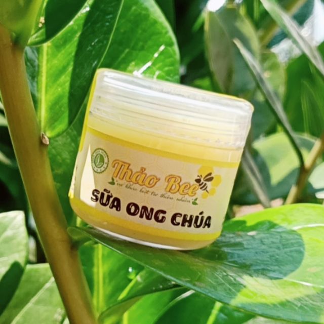 Cao tinh nghệ Sữa ong chúa Thảo Bee 60gr | BigBuy360 - bigbuy360.vn