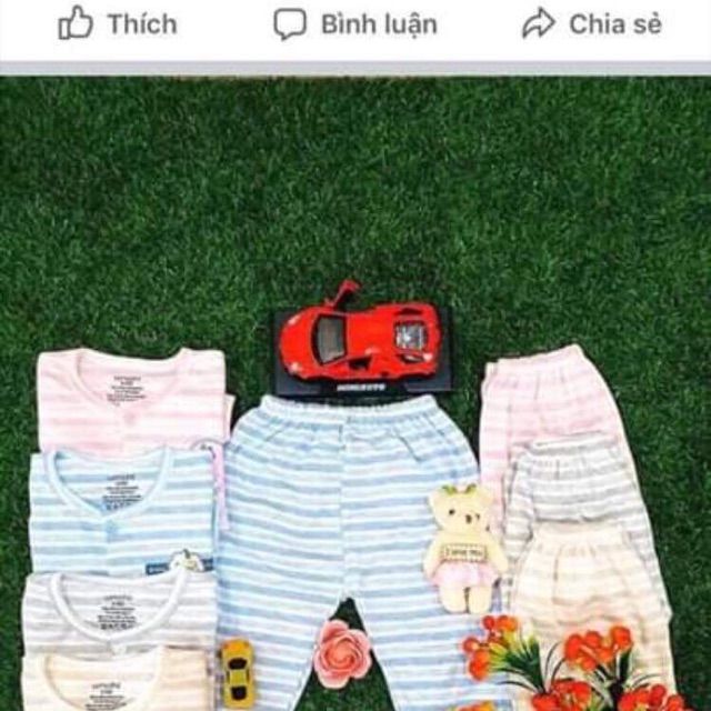 Bộ nỉ unchi