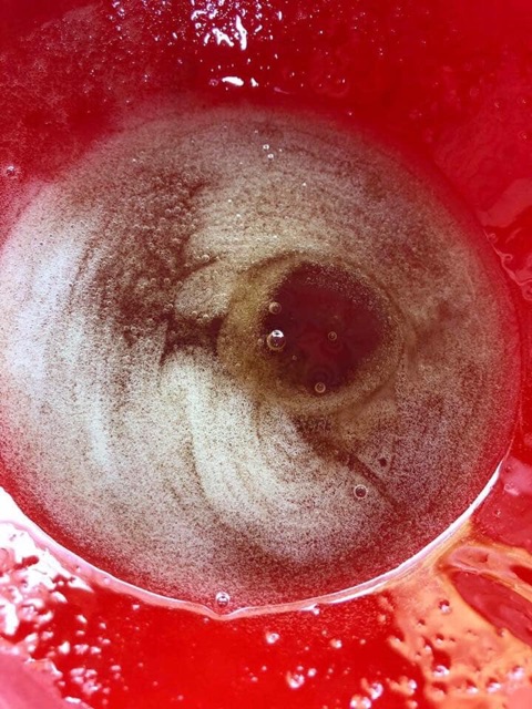 Mật ong rừng nguyên chất | BigBuy360 - bigbuy360.vn