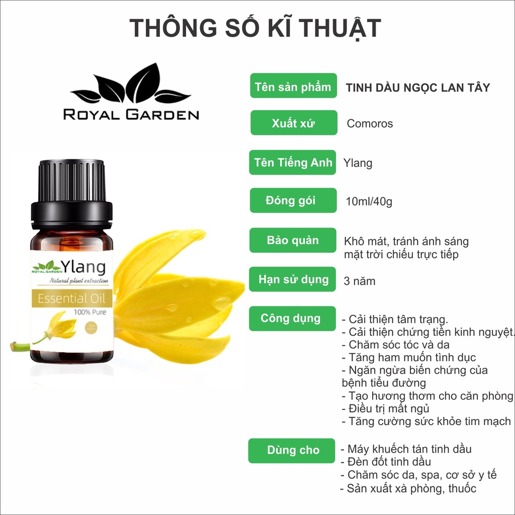 Tinh dầu 50ml Bạc Hà Peppermint - Triết xuất thiên nhiên 100% nhập khẩu Ấn Độ