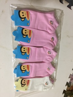 combo tất 150 đôi