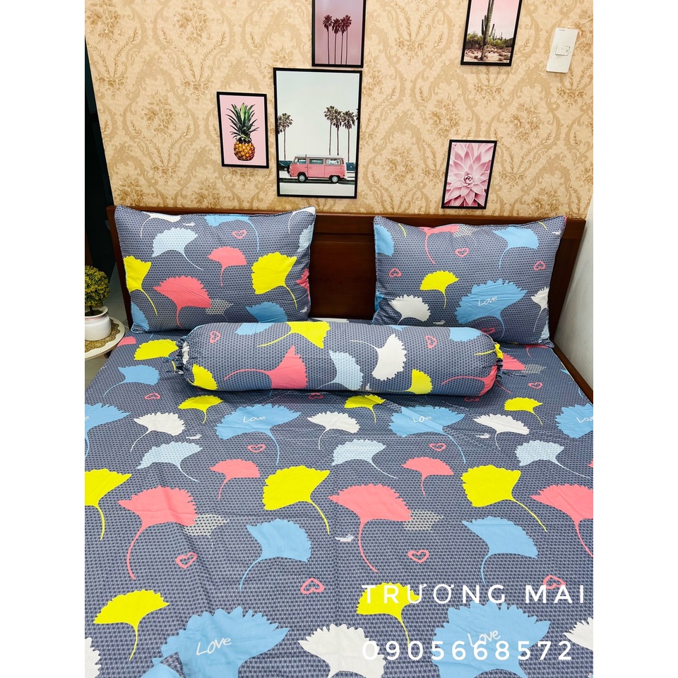 Sét ga gối thắng lợi 100% coton không kèm mền