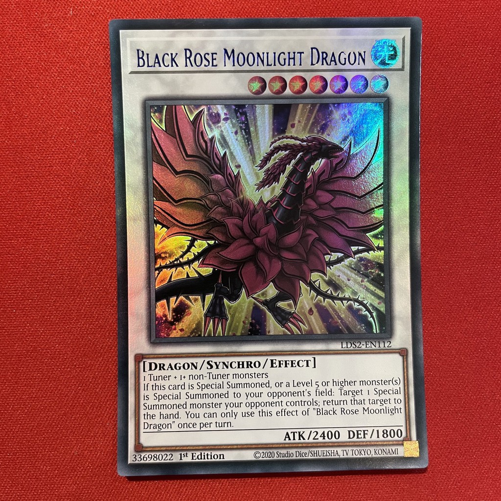 Black Rose Moonlight Dragon