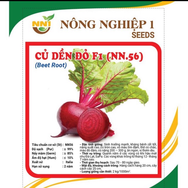 Hạt giống củ dền đỏ 1- gói 10 gr